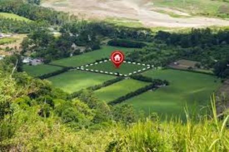Picture for category Real Estate- Open Plots