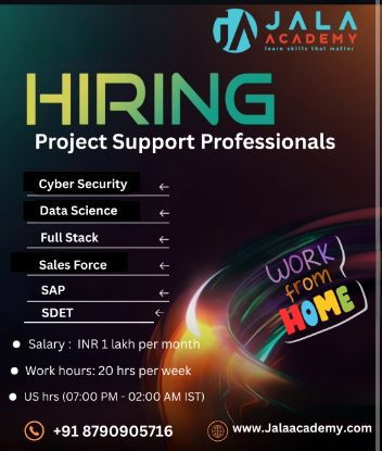 Picture of US Projects Freelance Work