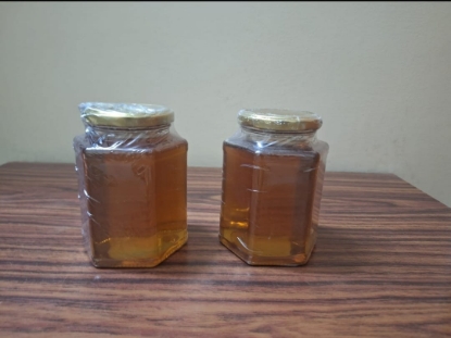 Picture of Honey
