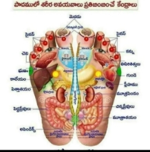 Picture of HEWE MAGNETIC SHOES