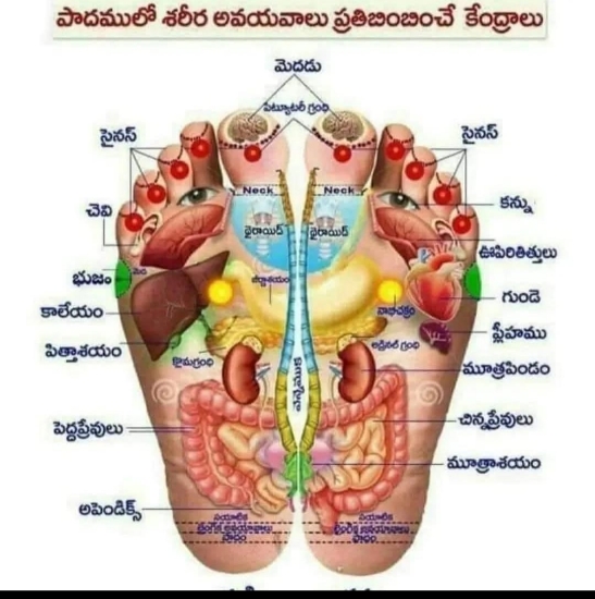 Picture of HEWE MAGNETIC SHOES