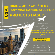 Picture of Hiring OPT / CPT / H1 B / Any Visa candidates in USA