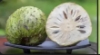 Picture of Soursop