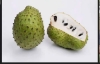 Picture of Soursop