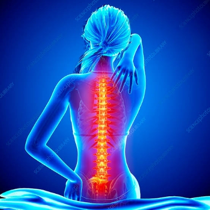 Picture of VR THERAPY CENTER BACK PAINS