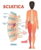 Picture of VR THERAPY CENTER SCIATICA