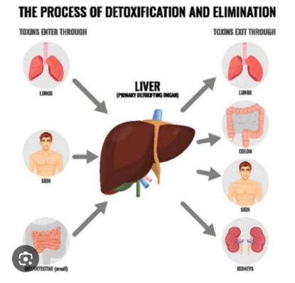 Picture of VR THERAPY CENTER  INTERNAL BODY DETOX