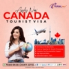 Picture of Travel nexy (Tour AND TRAVELS )