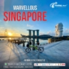 Picture of Travel nexy (Tour AND TRAVELS )