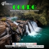Picture of Travel nexy (Tour AND TRAVELS )