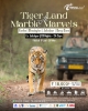 Picture of Travel nexy (Tour AND TRAVELS )