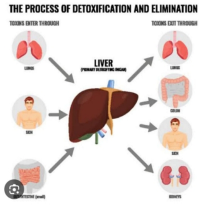 Picture of VR THERAPY CENTER  INTERNAL BODY DETOX