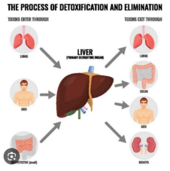 Picture of VR THERAPY CENTER  INTERNAL BODY DETOX