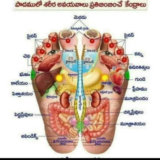 Picture of HEWE MAGNETIC SHOES