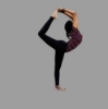 Picture of Kriya Yoga Center