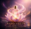 Picture of REDOLOTUS PERFUMES