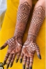 Picture of ASUTOSH  YOUR ONE STEP SOLUTION