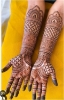 Picture of ASUTOSH  YOUR ONE STEP SOLUTION