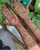 Picture of ASUTOSH  YOUR ONE STEP SOLUTION