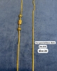 Picture of SRI  RAGHAVENDRA PERALS
