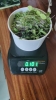 Picture of DATTA VRIKSHA  (Growing Health ...Nurturing tomorrow)