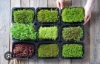 Picture of DATTA VRIKSHA  (Growing Health ...Nurturing tomorrow)