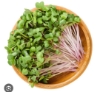 Picture of DATTA VRIKSHA  (Growing Health ...Nurturing tomorrow)
