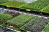 Picture of DATTA VRIKSHA  (Growing Health ...Nurturing tomorrow)