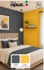 Picture of Gayathri Paint Shop