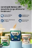 Picture of Gayathri Paint Shop