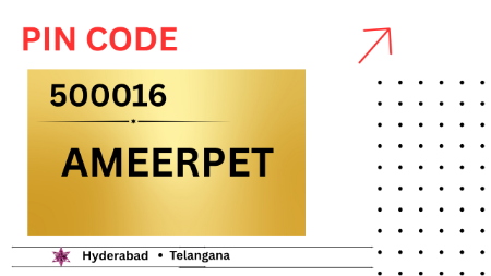 Picture for category 500016-Ameerpet-Telangana