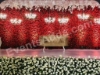 Picture of Vigneshwara Event  Sathupally