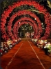 Picture of Vigneshwara Event  Sathupally