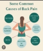 Picture of Samanvaya Self Healing& Wellness